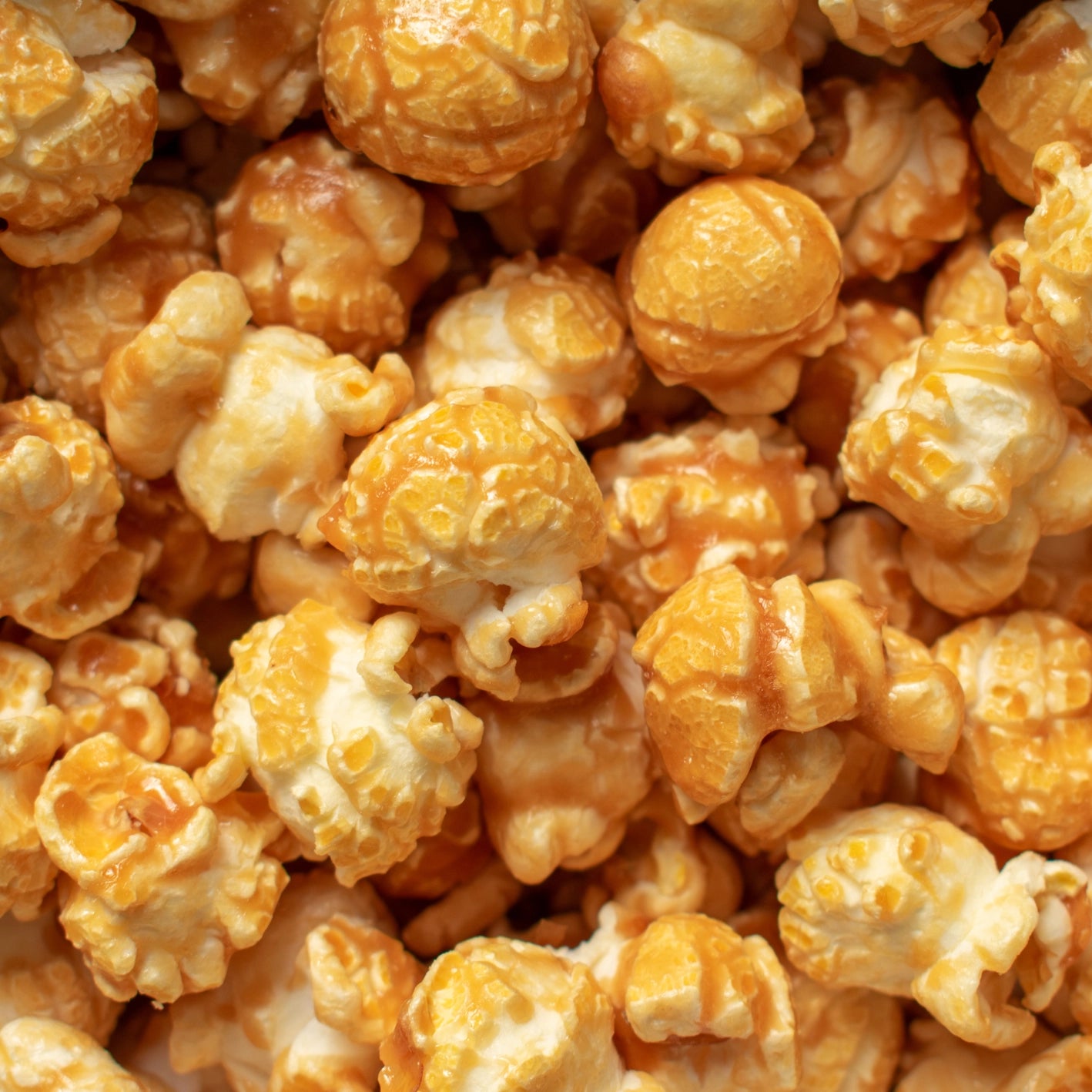 Vegan Toasted Marshmallow Gourmet Popcorn Snack Pack